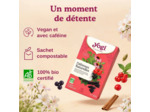 Tisane defenses naturelles 17x2g Yogi Tea