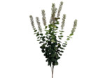 Fleur Artificielle Bruyelle Verte en Polyéthylène Tige Géante 120cm