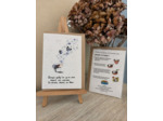 Carte à planter " mémoire "- Fleurs des champs