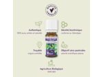 Huile essentielle Ylang ylang Bio-10 ml-Dr.Valnet