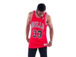 Scottie Pippen Chicago Bulls 33