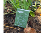 SAVON SURGRAS BROCOLI