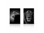 Ensemble 2 Tableaux Lions Verre Trempé Noir Blanc 80x4x120cm