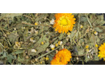 Jr Pissenlit & Camomille pour rongeurs - 100g