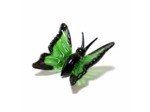 Figurine Miniature Papillon Vert Noir Verre 6x4x4cm