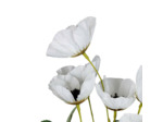Fleur Artificielle Pavot Blanc Éclatant 55cm