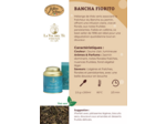 Thé Vert Bancha Fiorito 20 sachets