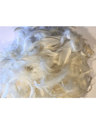 60/20/20 mélange plumes mousse flotex min 20kg prix au kg T60/20/2020KG