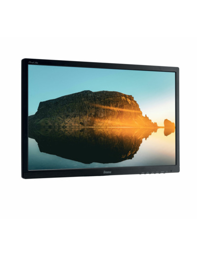 IIYAMA PROLITE PL2282H - ECRAN LCD 22"