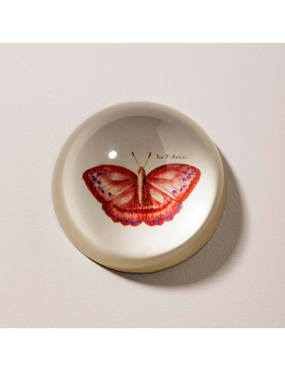 Presse papier papillion rouge verre 4x8x8cm