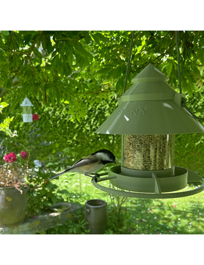 Mangeoire pour oiseaux à Suspendre