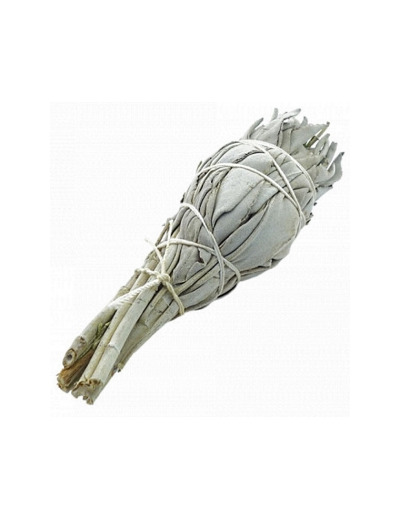 Sauge blanche à brûler torche 25g