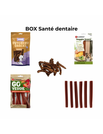 BOX Santé bucco dentaire pour chien