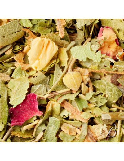 Tisane des Invités