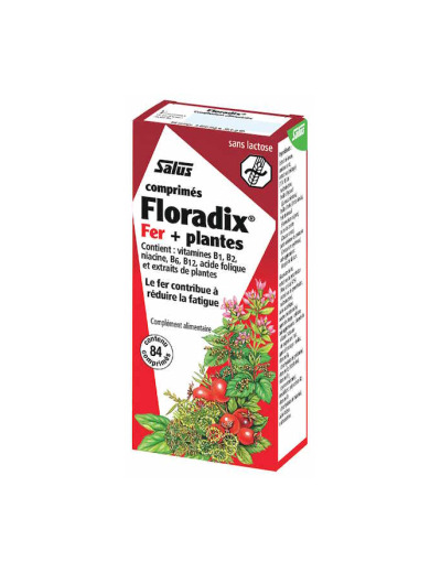 Floradix Fer + Plantes 84 comprimés