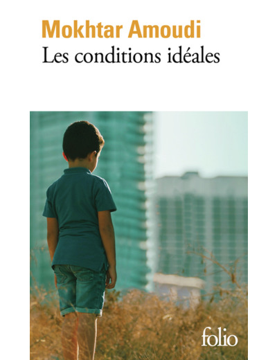 LES CONDITIONS IDEALES