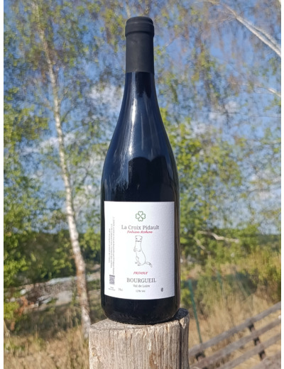 Frivole 2024, la Croix Pidault , vin de Bourgueil