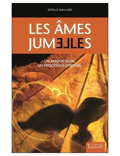 Les ames jumelles : un amour divin, un processus spirituel