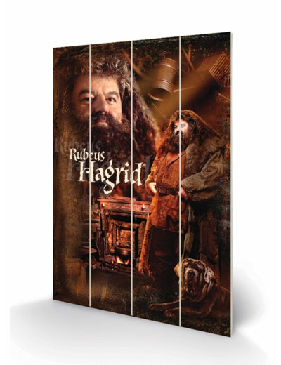 Grande impression sur bois Hagrid - Harry Potter