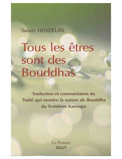 Tous les êtres sont des Bouddhas - Traité qui montre la nature de Bouddha du 3e Karmapa