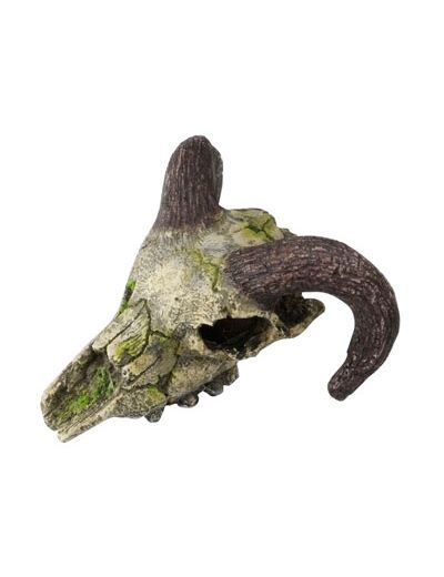 Décors crâne AQUA DELLA Skull mini pour aquarium - 7 à 10cm