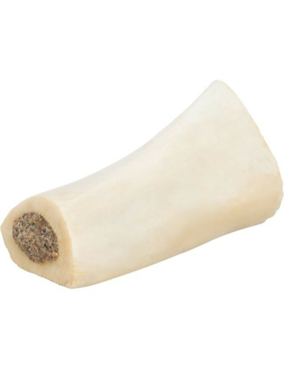 Os de tibia pour chien