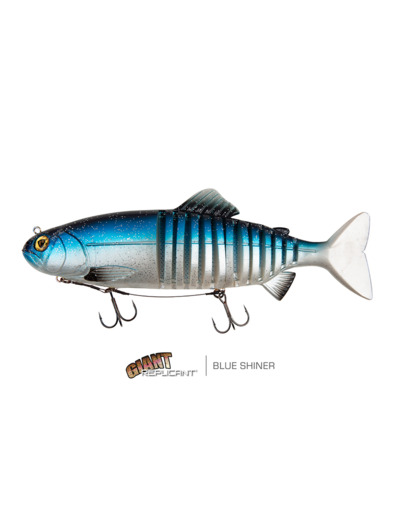 rep jointed blue shinner 32cm