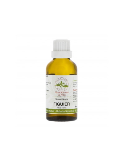 Figuier macérat de Bourgeons bio 40ml
