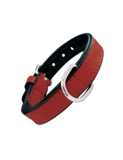 Collier en cuir Rouge pour chiens - 55 cm x 25 mm