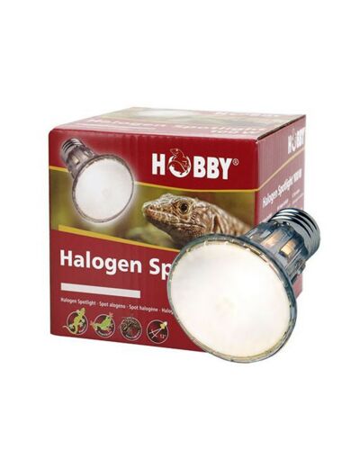 Spot halogène Hobby - 100W