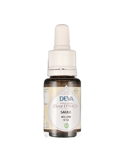 Saule n°38 15ml