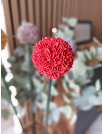 Ail d'ornement décoratif pour jardin