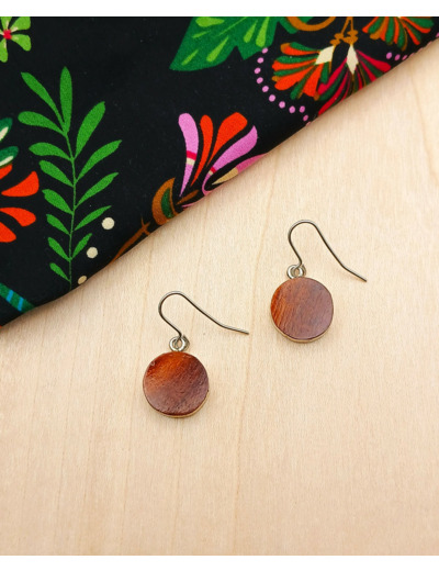 BOUCLES D'OREILLES Acier Chirurgical