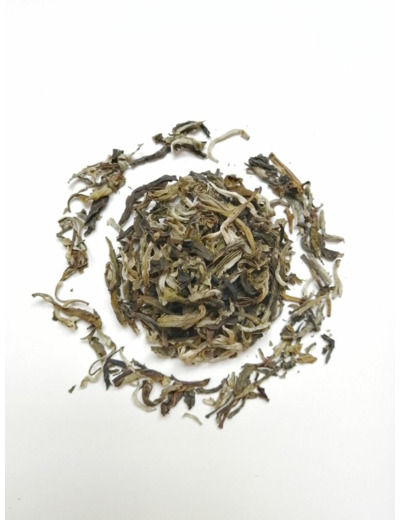 Thé blanc White Monkey