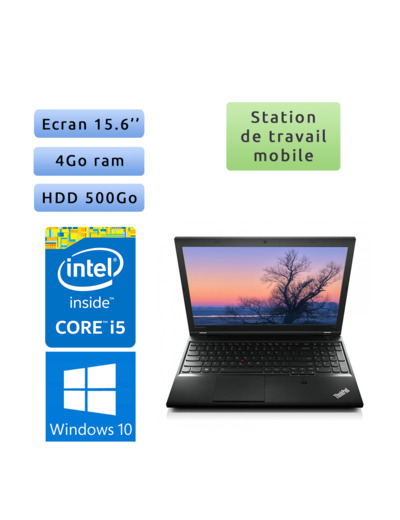 Lenovo ThinkPad L540 - Windows 10 - i5 4Go 500Go - 15.6 - Workstation Ordinateur Portable PC