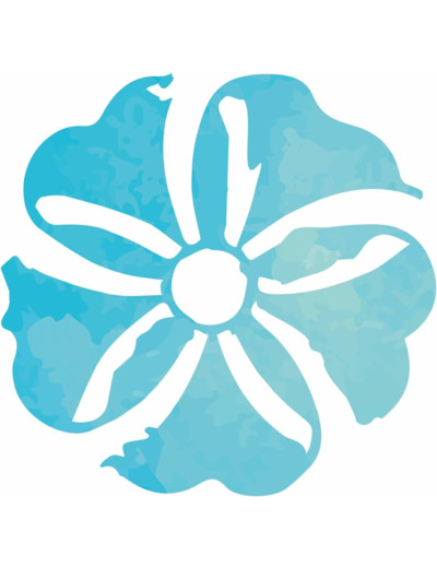 BOISSON EPEAUTRE 1L Isola Bio