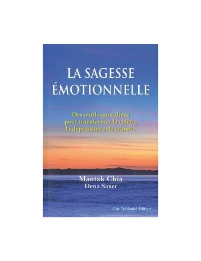 La sagesse émotionnelle