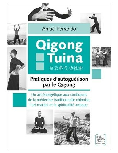 Qigong Tuina : Pratiques d'autoguérison par le Qigong - Un art énergétique aux confluents de la médecine traditionnelle chinoise, l'art martial et la spiritualité antique