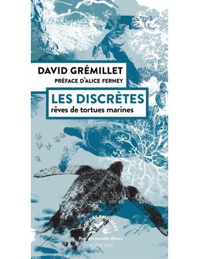LES DISCRETES - REVES DE TORTUES MARINES