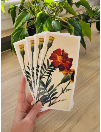 Carte fleur de naissance - Octobre