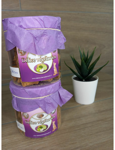 Délice végétarien