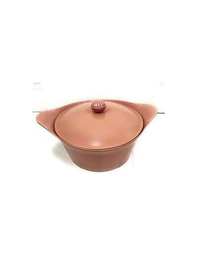 MA JOLIE COCOTTE ROSE 24 CM