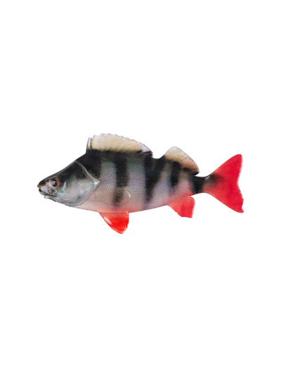 4ultra natural perch fillet 6cm
