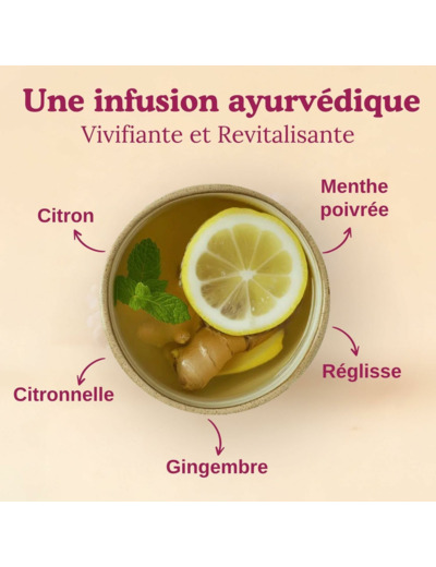 Tisane gingembre citron 17x1,8g Yogi Tea