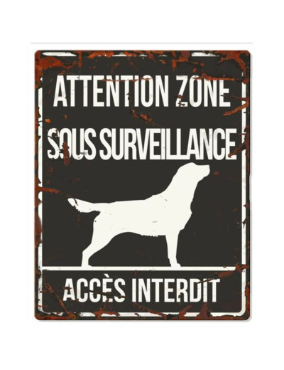 Plaque "Attention" Golden Retriever - 4 formats