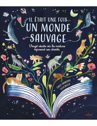 IL ETAIT UNE FOIS UN MONDE SAUVAGE