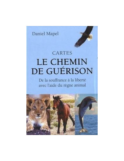 Cartes le chemin de guérison