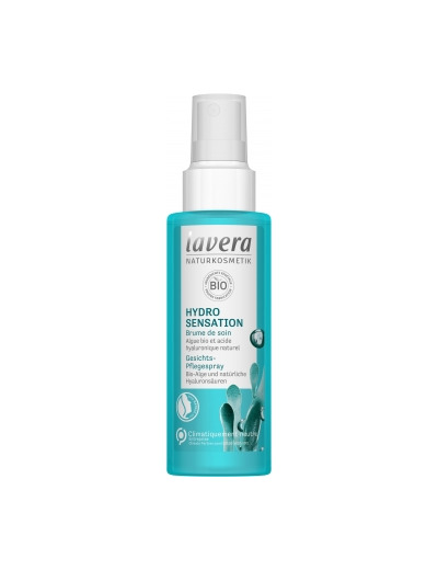 Hydro Refresh Brume de soin 100ml