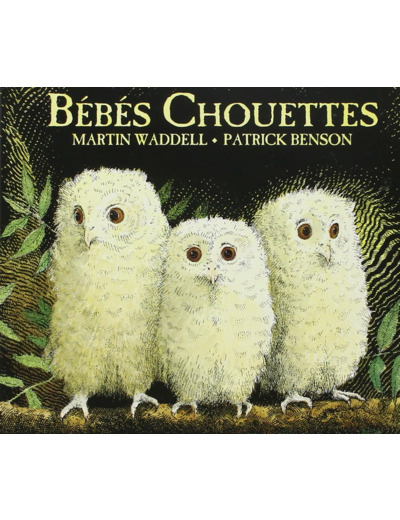 BEBES CHOUETTES