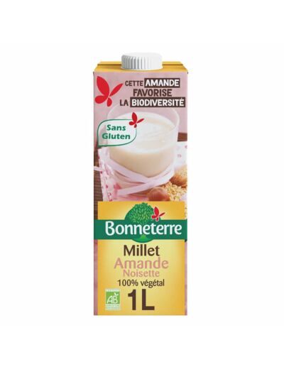 Boisson Millet Amande Noisette Bio-1L-Bonneterre
